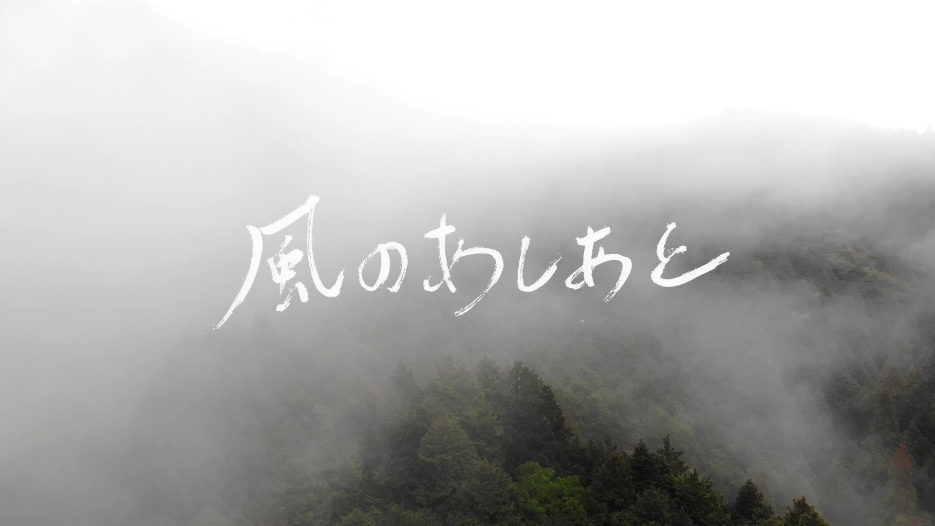 PV 「風のあしあと」 | PROJECTS | anno lab